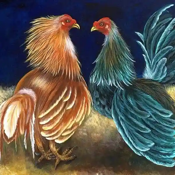 Tips Menganalisa Gerak dan Nafas Ayam Sabung wala meron